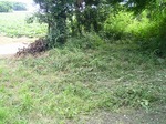 080807-1.jpg
