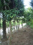 081107-1.jpg
