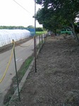 081107-2.jpg